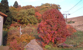 �����̍g�t�ʐ^�摜10/22